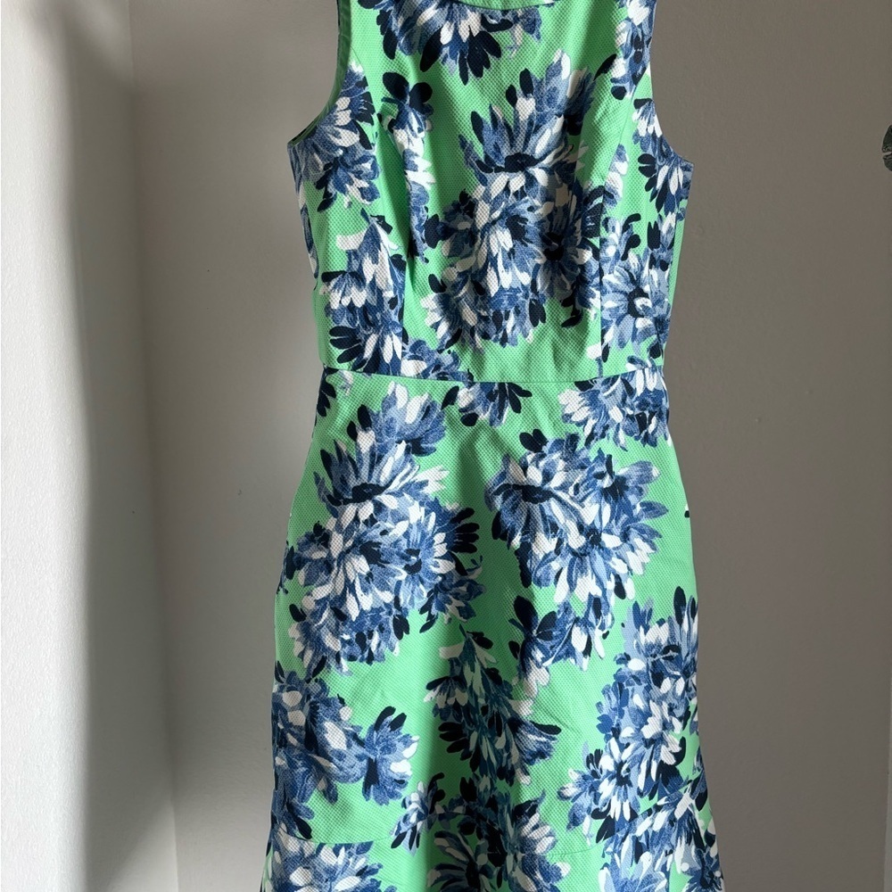 J. Crew Green and Blue Floral Dress